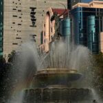 8808f38a56174c7cb48d46398641596c