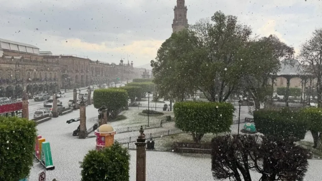 8a66820272624a119d66059b20dc32d3