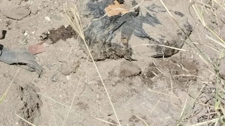 96b727cfb5e0430eb3f5a7ec4a35c788