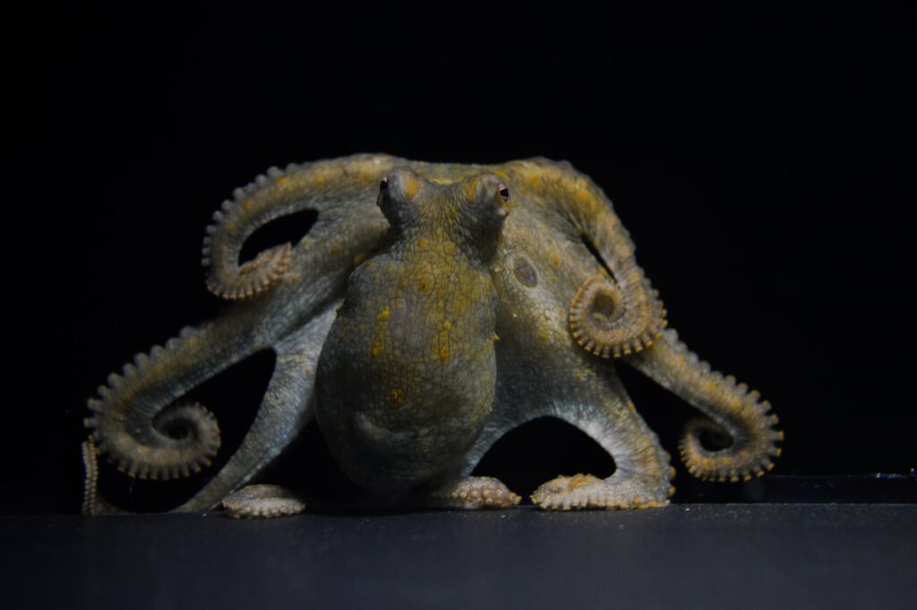 99ca3b00c3cf41ab9d09ba44aeabd5f4