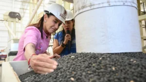 a9454d9d37a541ef9436f13c65d0b82f