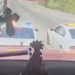 c78e59d5aa35485fa4a4194bd4c7e7d6