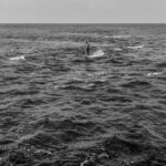 d44c43fbe4904fa5b1d3941637cf05ac