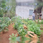 783346ac6aa94db4ac1567e958786b15