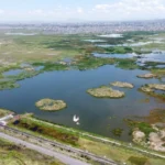 8329757709ca4664a722b744698ce932
