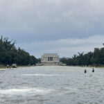 Las algas retornan al estanque reflectante de Washington tras la remodelación de Trump