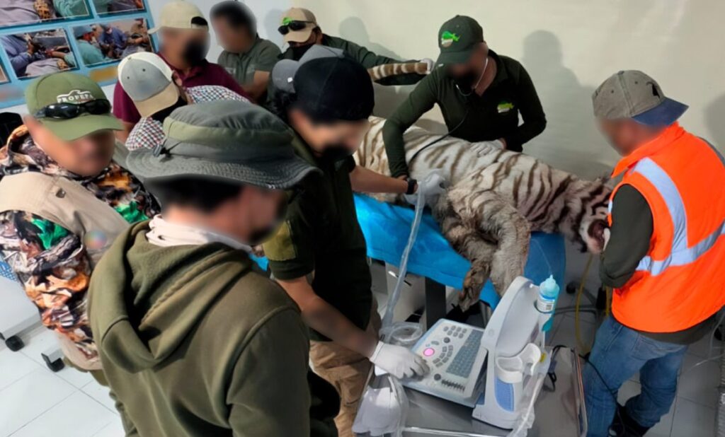 79733975b3b34be4ad6e0c93e96b80c2