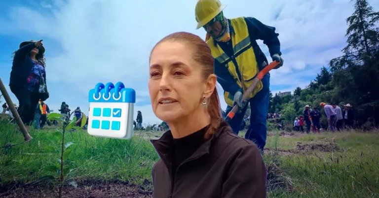 35d80d6d14c1449c9ec4dedca937a3fd